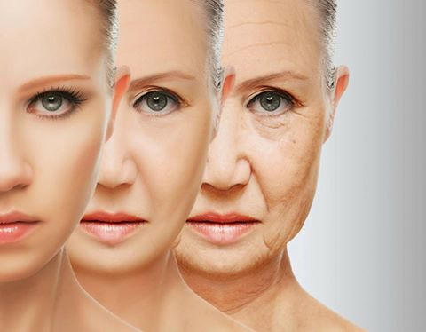 ยิ่งอายุเพิ่มมากขึ้นการดูแลสุขภาพร่างกายยิ่งเพิ่มมากขึ้นเพื่อการ ชะลอความชรา ในรูปแบบของเวชศาสตร์ ช่วยซ่อมแซมและป้องกันจากความเสื่อมที่จะเกิดขึ้นในอวัยวะต่างๆ 